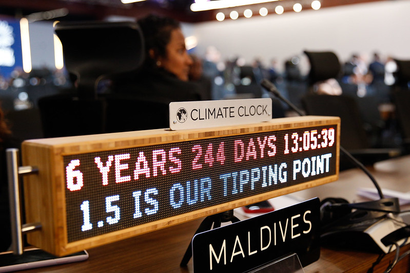 What is the United Nations Climate Conference, COP?